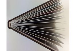 20х20см. Натуральная кожа 2