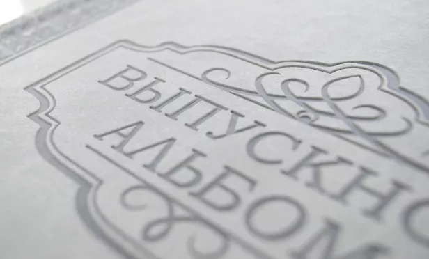 Тиснение на обложке пример 234